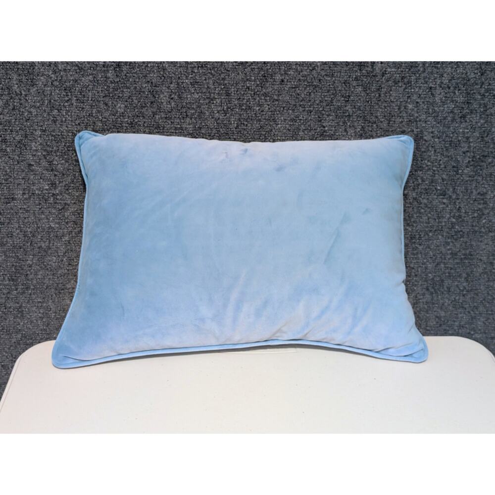 Light Blue Velvet Zippered Down Filled Insert Pillow